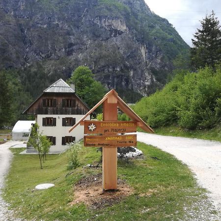 Organic Tourist Farm Pri Plajerju Daire Trenta Dış mekan fotoğraf