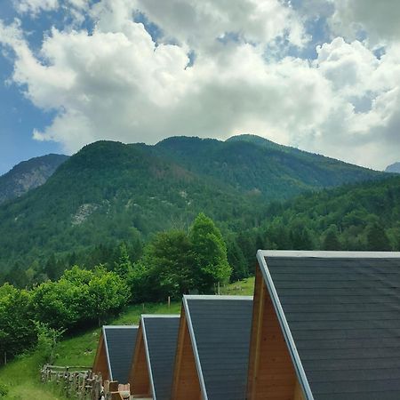 Organic Tourist Farm Pri Plajerju Daire Trenta Dış mekan fotoğraf