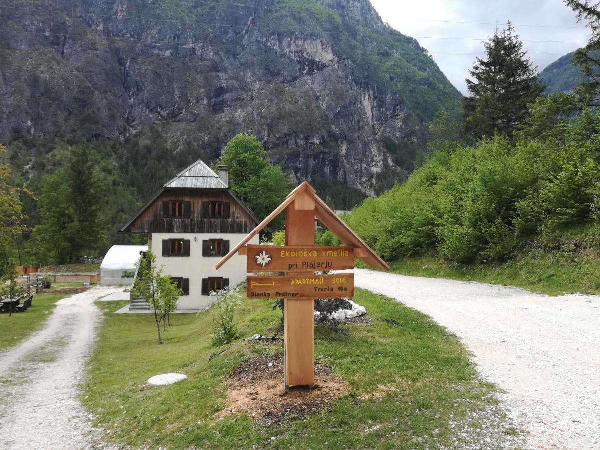 Organic Tourist Farm Pri Plajerju Daire Trenta Dış mekan fotoğraf