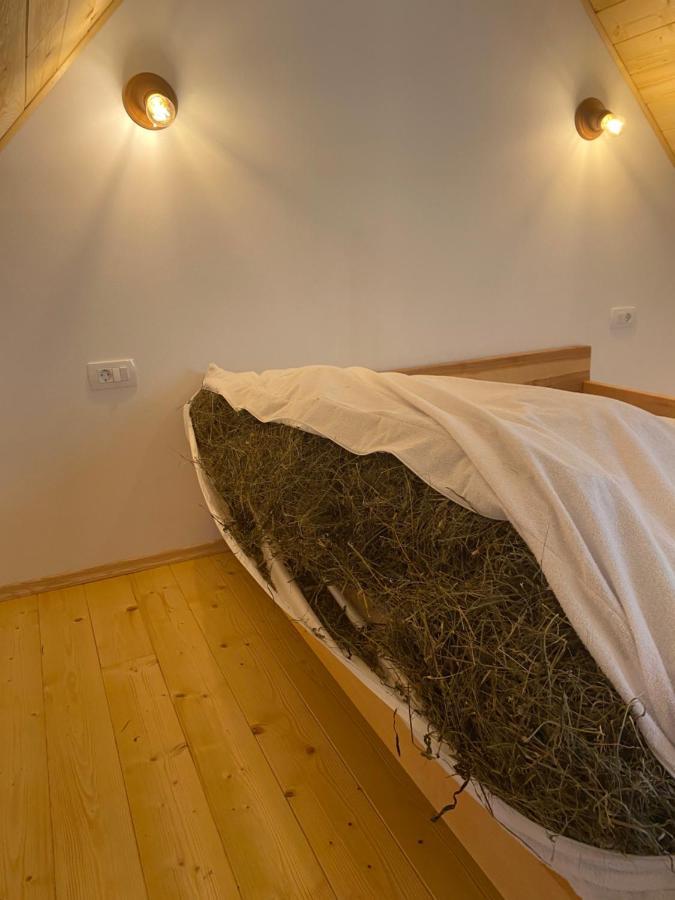 Organic Tourist Farm Pri Plajerju Daire Trenta Dış mekan fotoğraf
