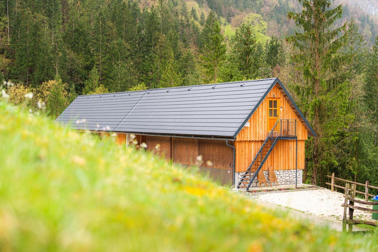 Organic Tourist Farm Pri Plajerju Daire Trenta Dış mekan fotoğraf